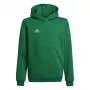 adidas Entrada 22 Μπλούζα με Κουκούλα Παιδικό Πράσινο 116cm