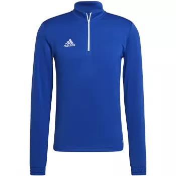 adidas Entrada 22 αθλητικό μπλουζάκι προπόνησης ανδρικό Team Royal Blue/λευκό φούτερ M