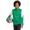 adidas Squadra 25 Hoody παιδικό πράσινο/λευκό 164cm