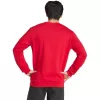 adidas ανδρικό Entrada 26 φούτερ κόκκινο M