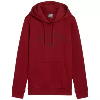 PUMA ανδρικό Essentials+ Logo LAB Hoodie FL Bordeaux μέγεθος L