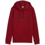 PUMA ανδρικό Essentials+ Logo LAB Hoodie FL Bordeaux μέγεθος L