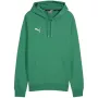 PUMA Team Goal Casuals Φούτερ με Κουκούλα Forest Night Ανδρικό Medium