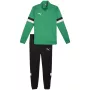 PUMA ανδρικό σετ προπόνησης Team Rise σε Pfeffergrün και Puma Black, μέγεθος S