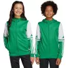 adidas Squadra 25 Hoody παιδικό πράσινο/λευκό 152cm