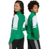 adidas Squadra 25 αθλητικό τοπ προπόνησης Junior Team Green/λευκό JP3160 128cm