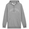 PUMA Essentials+ Logo LAB Gradient Hoodie - μεσαίο γκρι μελάζ - ανδρικό M