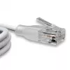 WANTEC eGlow UTP CAT6a καλώδιο patch, 0,5 m, λευκό