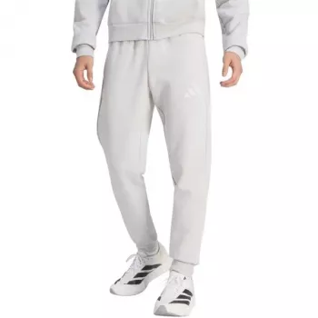 adidas Entrada 26 ανδρικό παντελόνι φούτερ γκρι, μέγεθος S (JZ9139)