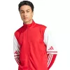 adidas Squadra 25 Ανδρικό Αθλητικό φούτερ Κόκκινο/Λευκό JD2979 S