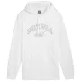 PUMA ESS+ Logo LAB Gradient Μπλούζα με Κουκούλα FL Puma White Medium