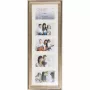 Victoria Collection 21083 Θερμοστατικός μίκτης ντουζιέρας, Επιτοίχια τοποθέτηση, Χρώμιο