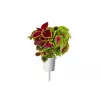 Click & Grow Smart Garden ανταλλακτικά, 3 κάψουλες φυτών (SGR2X3)