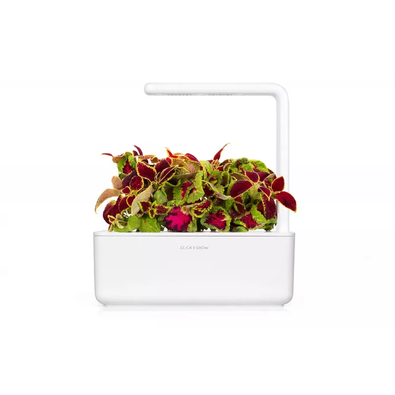 Click & Grow Smart Garden ανταλλακτικά, 3 κάψουλες φυτών (SGR2X3)