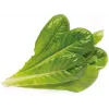 Click & Grow SGR50X3 Κάψουλες φυτών μαρούλι Ανταλλακτικό πακέτο (συσκευασία 3 τεμ.)