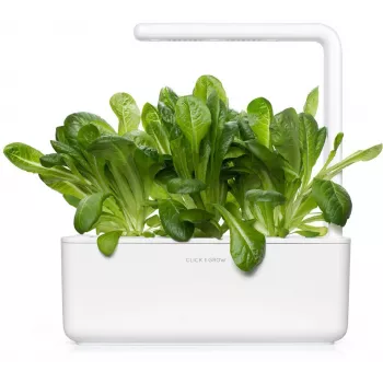 Click & Grow SGR50X3 Κάψουλες φυτών μαρούλι Ανταλλακτικό πακέτο (συσκευασία 3 τεμ.)