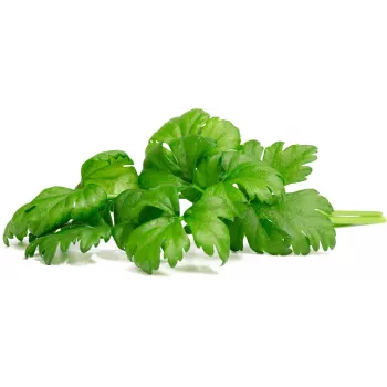 Click & Grow Κάψουλες φύτευσης σέλινου για Smart Garden, συσκευασία 3 τεμ. (SGR97X3)