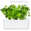 Click & Grow Κάψουλες φύτευσης σέλινου για Smart Garden, συσκευασία 3 τεμ. (SGR97X3)