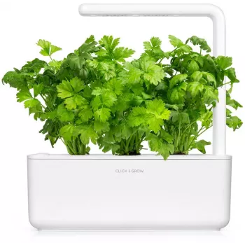Click & Grow Κάψουλες φύτευσης σέλινου για Smart Garden, συσκευασία 3 τεμ. (SGR97X3)