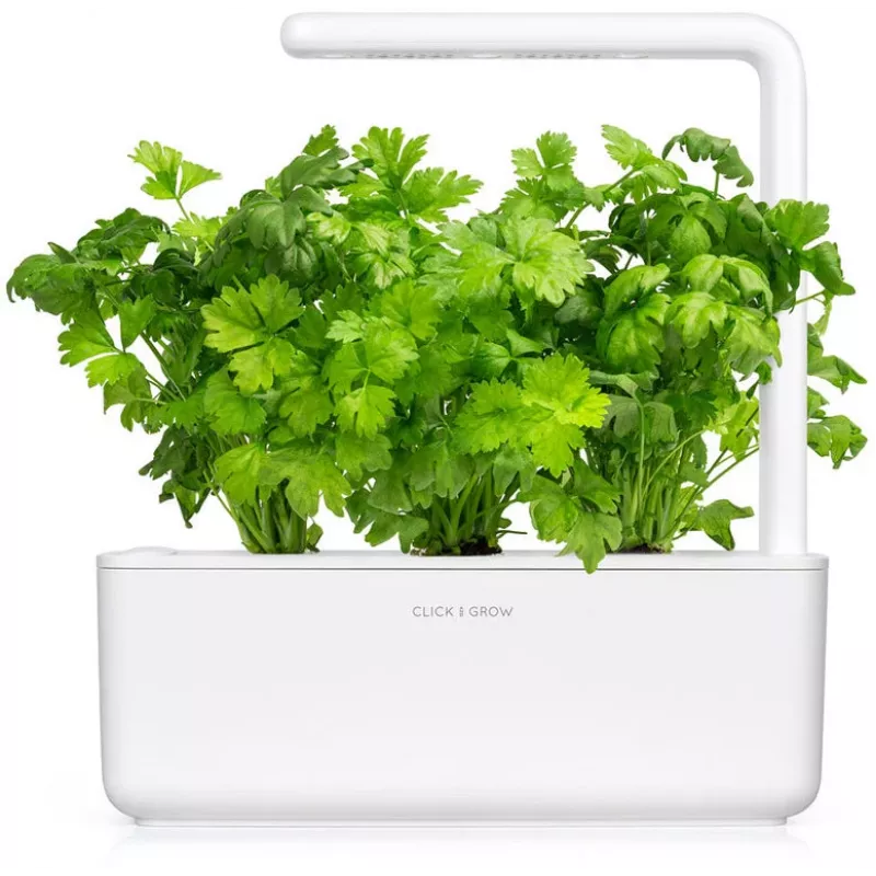 Click & Grow Κάψουλες φύτευσης σέλινου για Smart Garden, συσκευασία 3 τεμ. (SGR97X3)