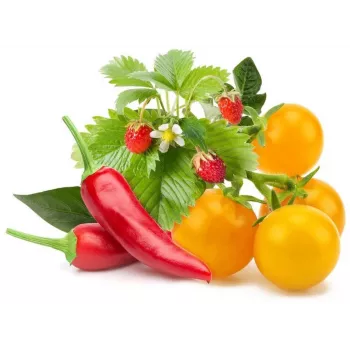Click & Grow μείγμα φρούτων και λαχανικών κάψουλες φύτευσης για Smart Garden, συσκευασία 9 τεμ. (PPMFVX9)