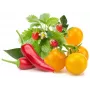 Click & Grow μείγμα φρούτων και λαχανικών κάψουλες φύτευσης για Smart Garden, συσκευασία 9 τεμ. (PPMFVX9)