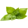 Click & Grow Κάψουλες Φύτευσης Βασιλικού Λεμονιού για Smart Garden, Συσκευασία 3 τεμ. (SGR76X3)