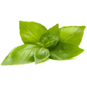 Click & Grow Κάψουλες Φύτευσης Βασιλικού Λεμονιού για Smart Garden, Συσκευασία 3 τεμ. (SGR76X3)