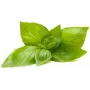 Click & Grow Κάψουλες Φύτευσης Βασιλικού Λεμονιού για Smart Garden, Συσκευασία 3 τεμ. (SGR76X3)