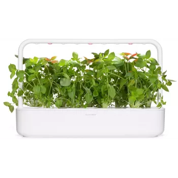 Click & Grow Κάψουλες Φύτευσης Βασιλικού Λεμονιού για Smart Garden, Συσκευασία 3 τεμ. (SGR76X3)