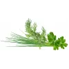 Click & Grow Plant Pod Classic Garnish Mix, 9 τεμ. (PPMCGX9)
