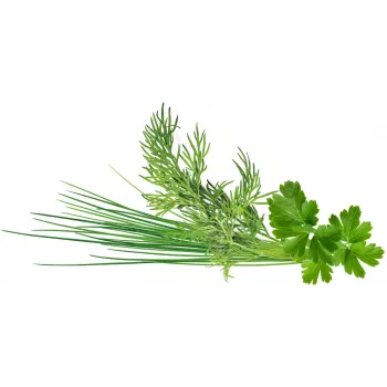 Click & Grow Plant Pod Classic Garnish Mix, 9 τεμ. (PPMCGX9)