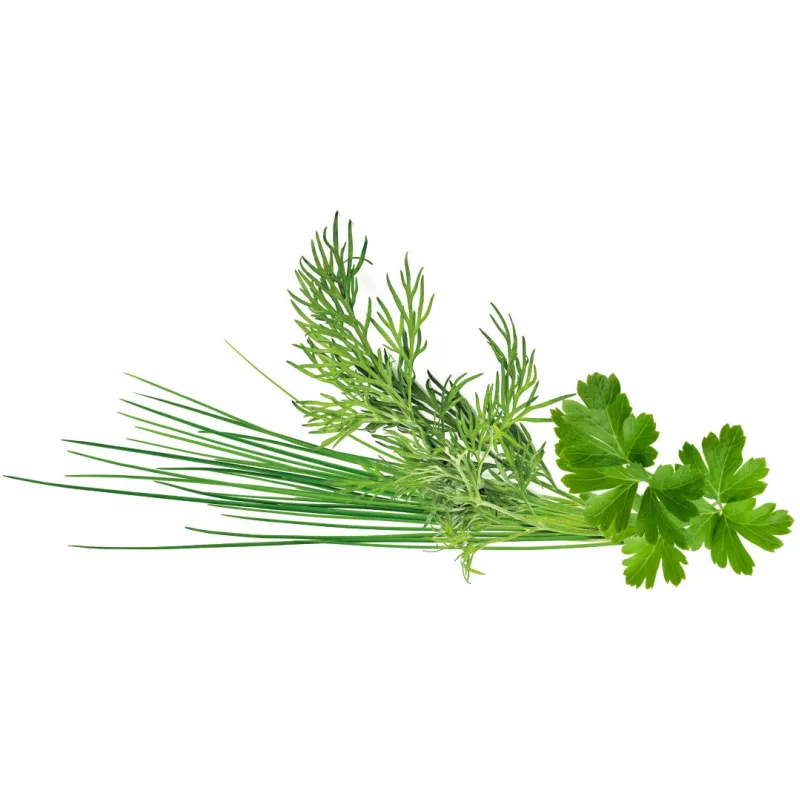 Click & Grow Plant Pod Classic Garnish Mix, 9 τεμ. (PPMCGX9)