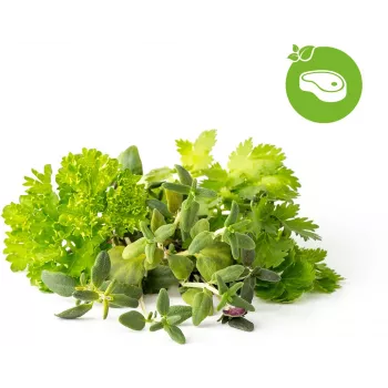Click & Grow Μείγμα Βοτάνων Steak Κάψουλες Φύτευσης για Smart Garden, Συσκευασία 9 τεμ. (PPMSSX9)
