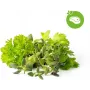 Click & Grow Μείγμα Βοτάνων Steak Κάψουλες Φύτευσης για Smart Garden, Συσκευασία 9 τεμ. (PPMSSX9)