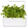 Click & Grow SGR68x3 κάψουλες φυτών μαϊντανού (συσκευασία 3 τεμ.)