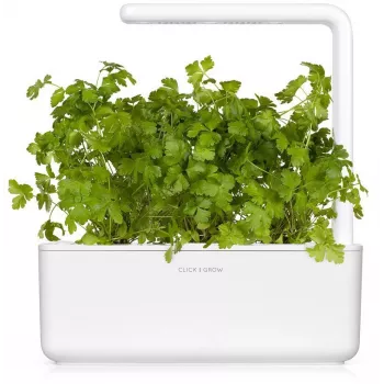 Click & Grow SGR68x3 κάψουλες φυτών μαϊντανού (συσκευασία 3 τεμ.)