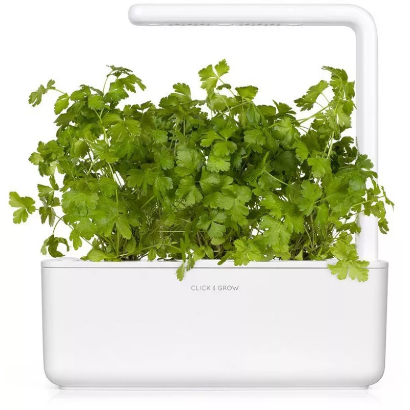Click & Grow SGR68x3 κάψουλες φυτών μαϊντανού (συσκευασία 3 τεμ.)