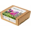 Click & Grow Vibrant Flower Mix κάψουλες φυτών για Smart Garden, συσκευασία 9 τεμ. (PPMVBX9)