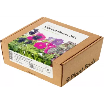 Click & Grow Vibrant Flower Mix κάψουλες φυτών για Smart Garden, συσκευασία 9 τεμ. (PPMVBX9)