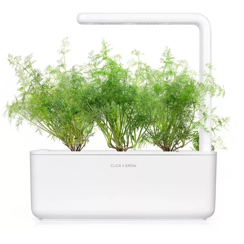 Click & Grow SGR49x3 Άνηθος Κάψουλες Φύτευσης Ανταλλακτικό Πακέτο Συσκευασία 3 τεμ.