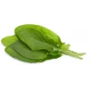 Click & Grow Ξινόχορτο Κάψουλες Φυτών για Smart Garden, Συσκευασία 3 τεμ. (SGR55X3)