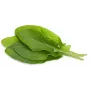 Click & Grow Ξινόχορτο Κάψουλες Φυτών για Smart Garden, Συσκευασία 3 τεμ. (SGR55X3)
