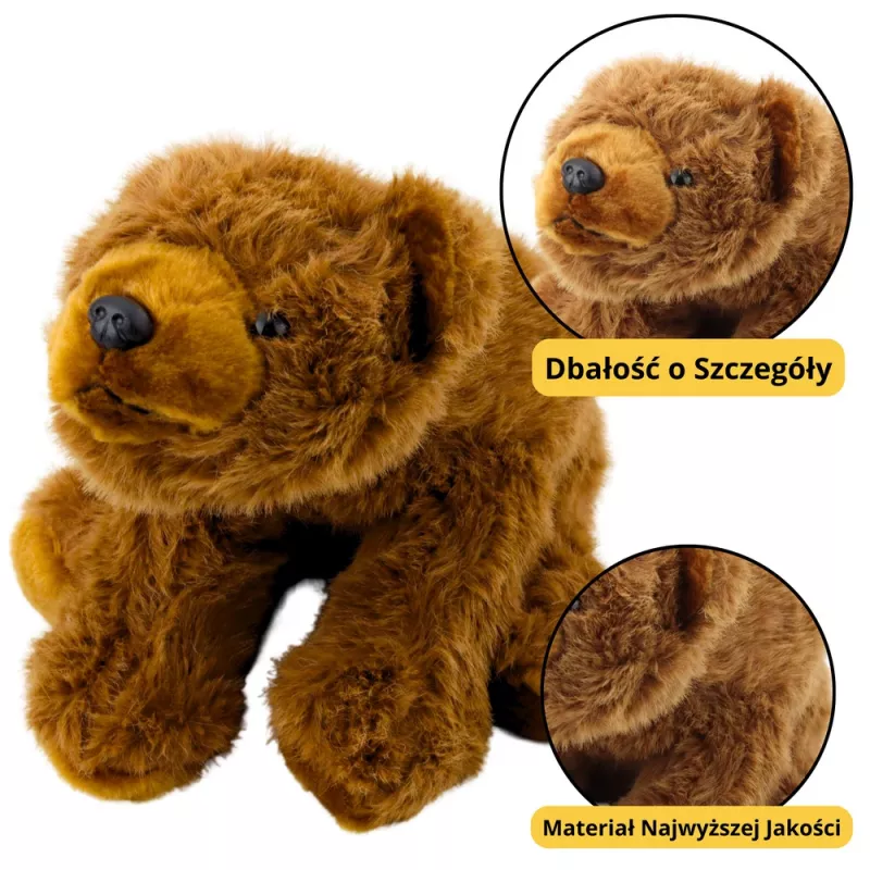 LEAN TOYS Πλουσένιο Παιχνίδι Καφέ Αρκούδα Λούτρινο 28cm