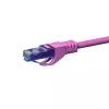 DSIT CAT6a U/UTP 30m ροζ καλώδιο patch δικτύου, 100% χαλκός, 10Gbps, RJ45