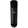 Warm Audio WA-87 R2 BL πυκνωτικό μικρόφωνο μεγάλου διαφράγματος - νικέλ