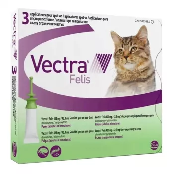Ceva Vectra Felis Spot-On θεραπεία ψύλλων για γάτες – 3 πιπέτες
