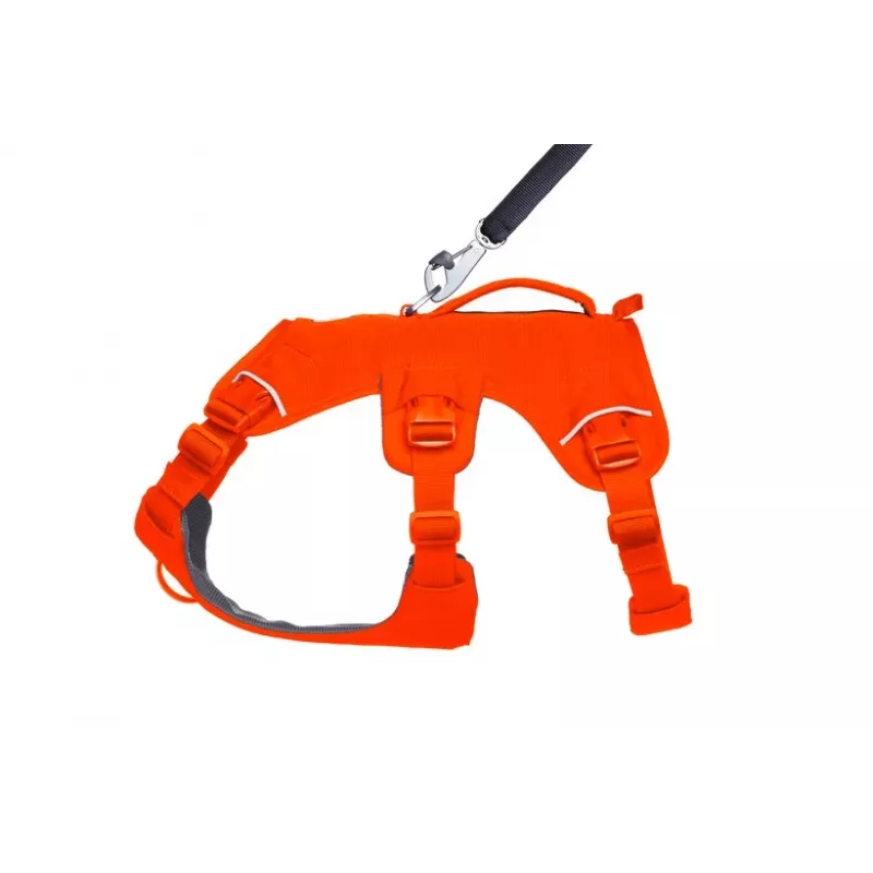 Ruffwear Web Master Πολυχρηστικό Στήριγμα Σώματος για Σκύλους, Blaze Orange, Μέγεθος M