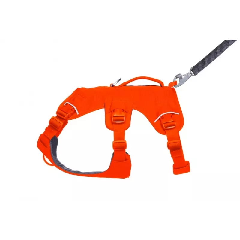 Ruffwear Web Master Πολυχρηστικό Στήριγμα Σώματος για Σκύλους, Blaze Orange, Μέγεθος M