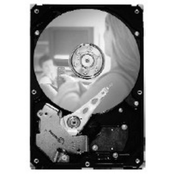 SEAGATE 250GB 3,5 ιντσών ST3250820SCE SATA